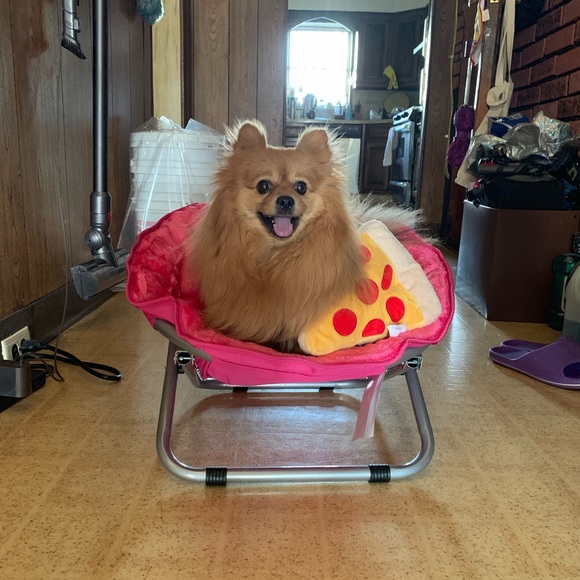 Meet your Posher, Kristy - Picture 1 of 1